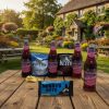 Thatchers Apple & blackcurrant pub in a box